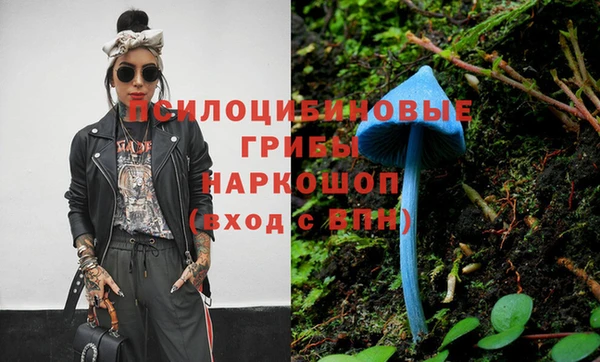 прущая мука Заводоуковск