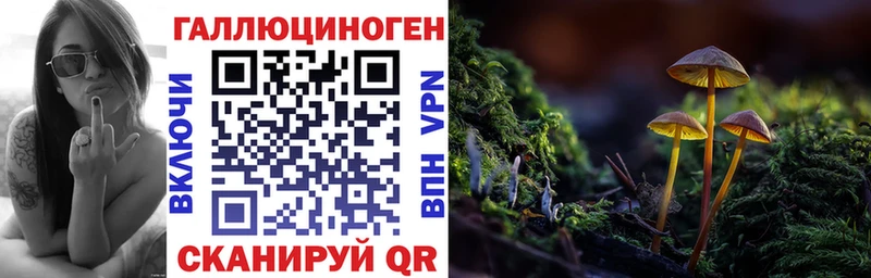 Галлюциногенные грибы Cubensis  Купить закладки  Судак 